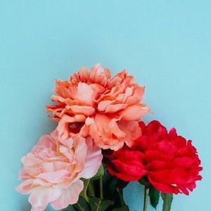 Meet your Posher, Jenna